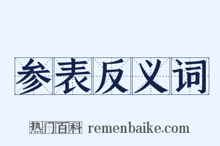 参表反义词是什么意思的图片